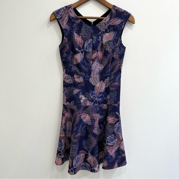 Rebecca Taylor Sonic Garden V-neck Drop Waist Dress Fit n Flare Blue Pink Size 2 - Picture 1 of 12
